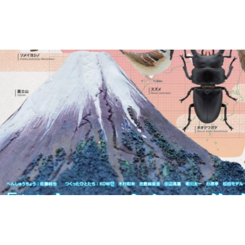 Japon Ikimon Gashapon Capsule  - Capsule Toy Gashapon avis et prix
