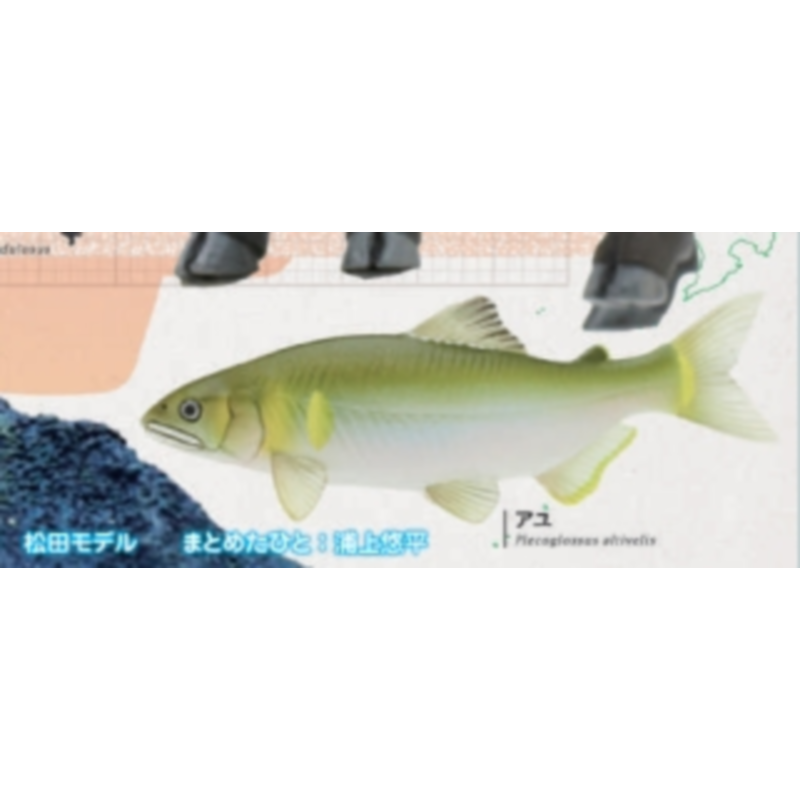 Japon Ikimon Gashapon Capsule  - Capsule Toy Gashapon avis et prix